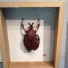 IMG_20120819_163710