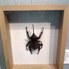 IMG_20120819_163717
