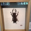 IMG_20120819_163738