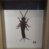 IMG_20120819_164115