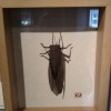 IMG_20120819_164126